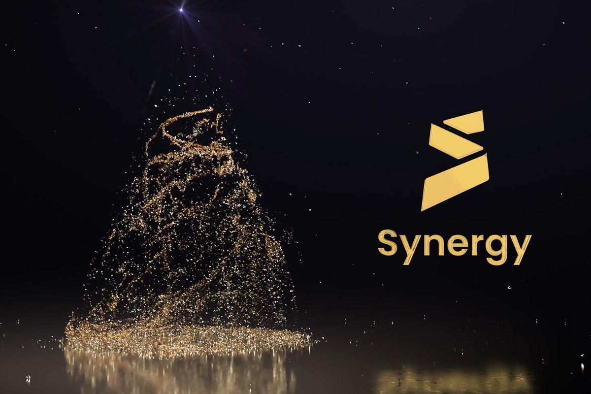 About | SynergyBIS